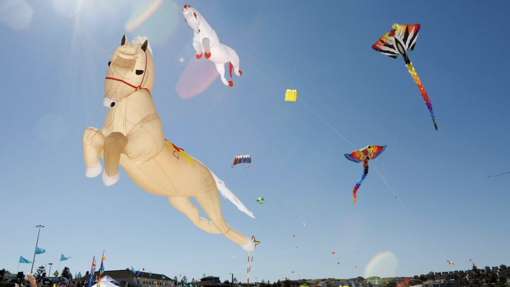 Sydney kite festival