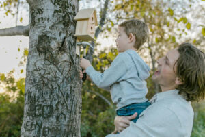 building a bird house