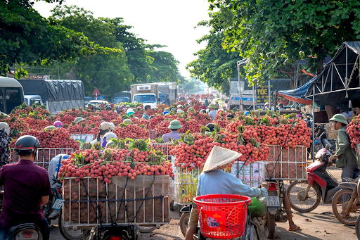 fruit carts