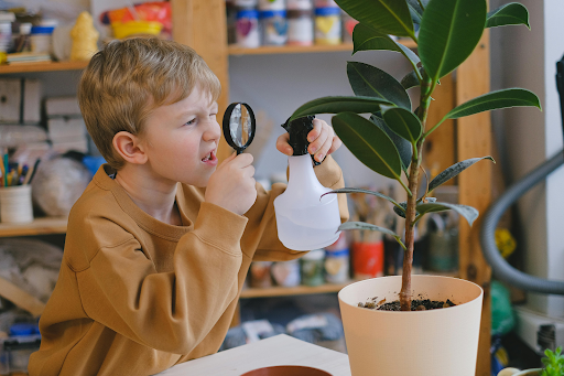 kid spraying water on plant