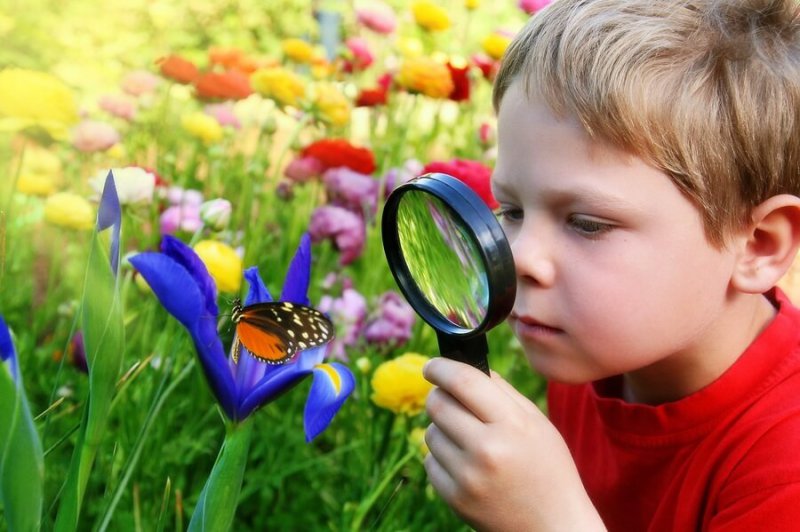 boy-looking-at-a-butterfly-through-microscope